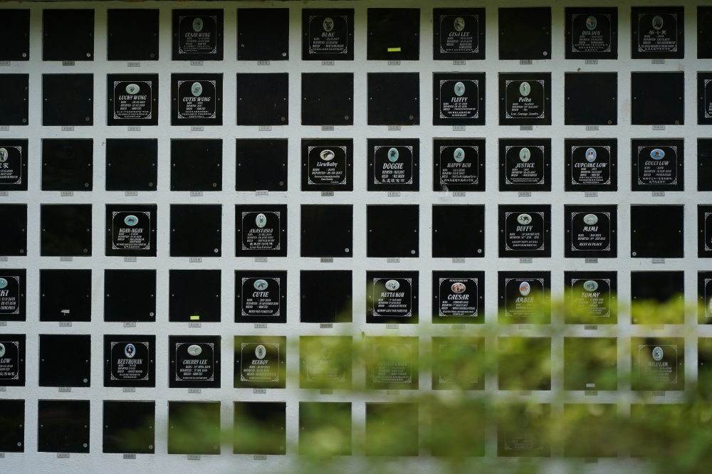 The Pet Memorial Garden in Nirvana Memorial Park, Semenyih, consists of burial plots, columbarium niches and a memorial monument dedicated to a local animal activist. — Picture courtesy Nirvana Asia