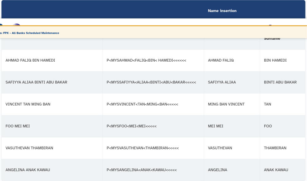 A screen capture from the Malaysia Airlines site shows its guide for name entries.