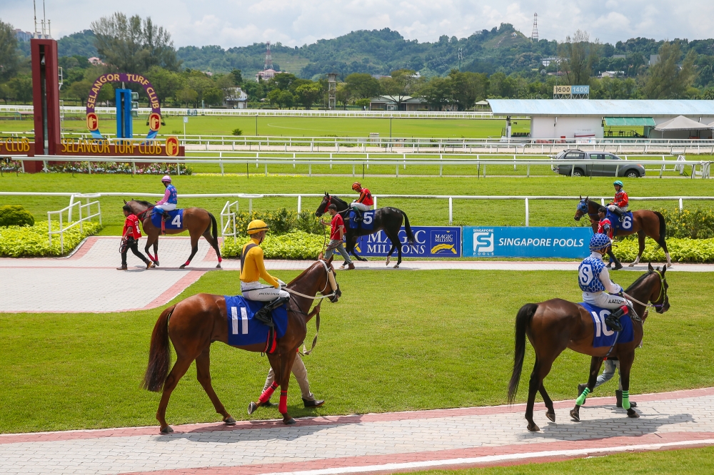 A dedicated viewing platform allows punters to get up close with the horses as they are paraded before the race. — Picture by Yusof Mat Isa