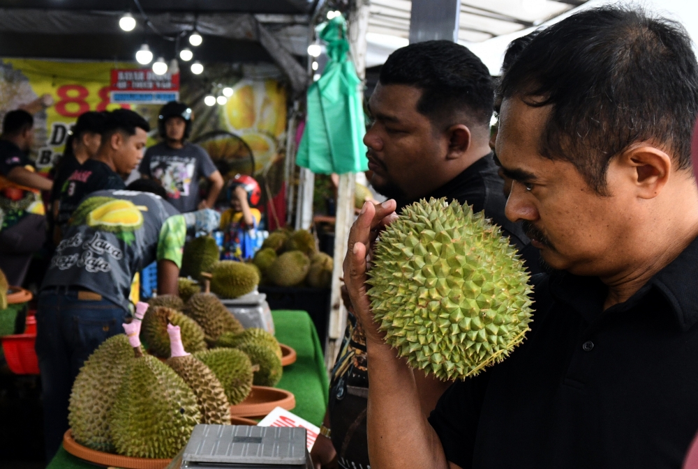 It is said that the taste of Balik Pulau durians is uniquely distinctive, with a softer texture and richer flavour compared to durians from other states. — Bernama pic