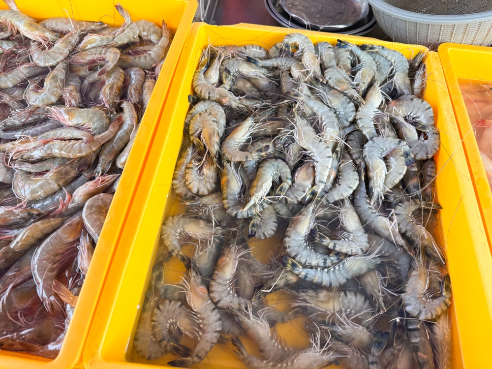 The stall owner recommended the tiger prawns on the right to enhance my prawn 'mee'.
