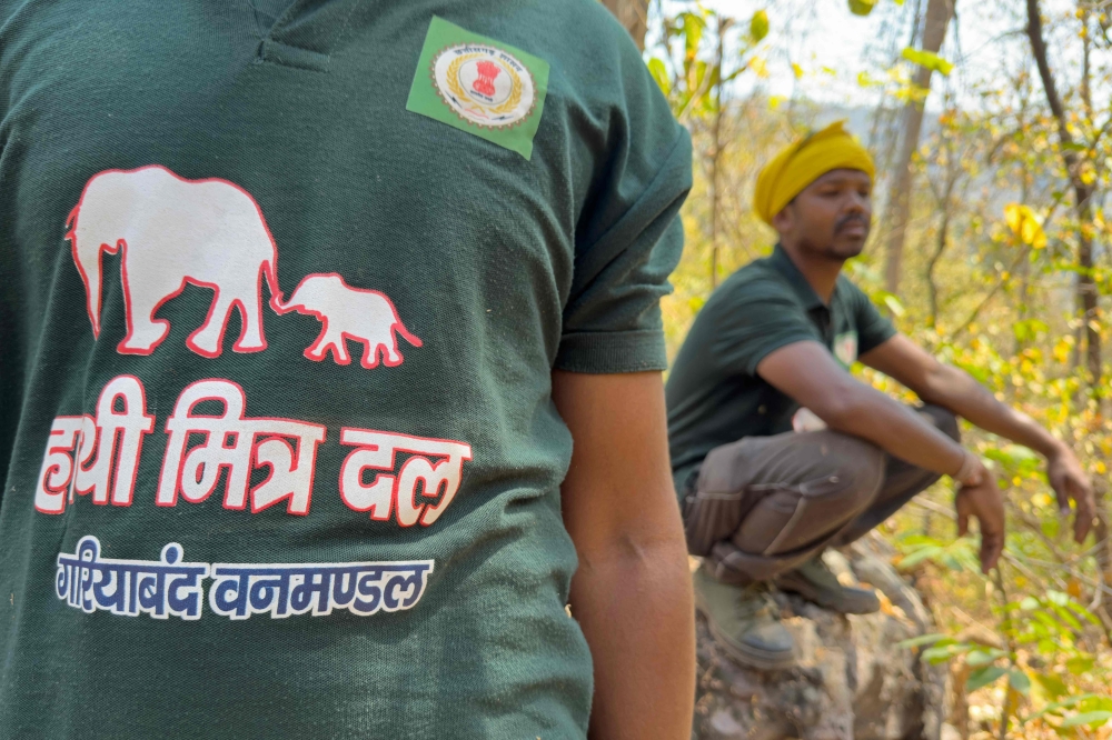 271891-1 In central India’s dry forests, community elephant trackers hunt for signs to feed into an alert system that is helping prevent some of the hundreds of fatal tramplings each year. — AFP pic