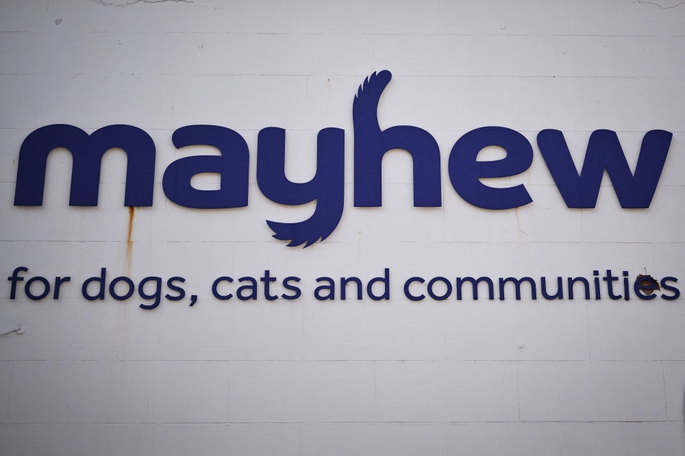 272025-1 A photograph taken on April 3, 2025 shows the sign of the Mayhew animal shelter at their unit entrance in west London. — AFP pic