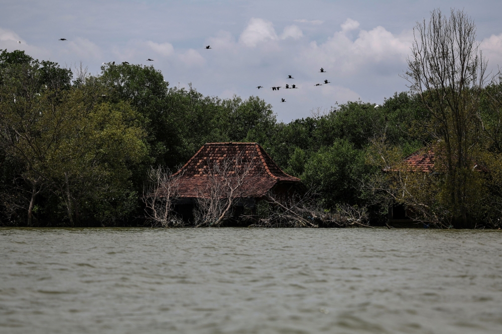 272157-1 Damaged houses stand partially submerged due to coastal erosion and land subsidence in the hamlet of Rejosari Senik, Demak regency, Central Java Province, Indonesia, February 19, 2025. — Reuters pic