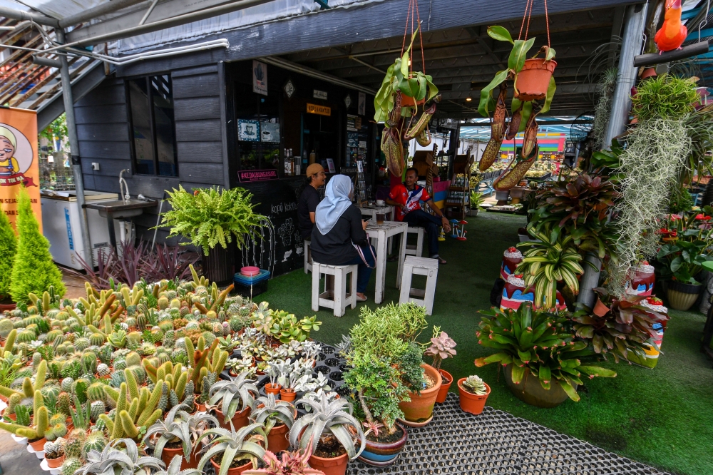272323 Visitors enjoy a cup of coffee at Kopi Kaktus at Kedai Bunga Suri, Jalan Pasir Hor in Kota Baru April 20, 2025. — Bernama pic