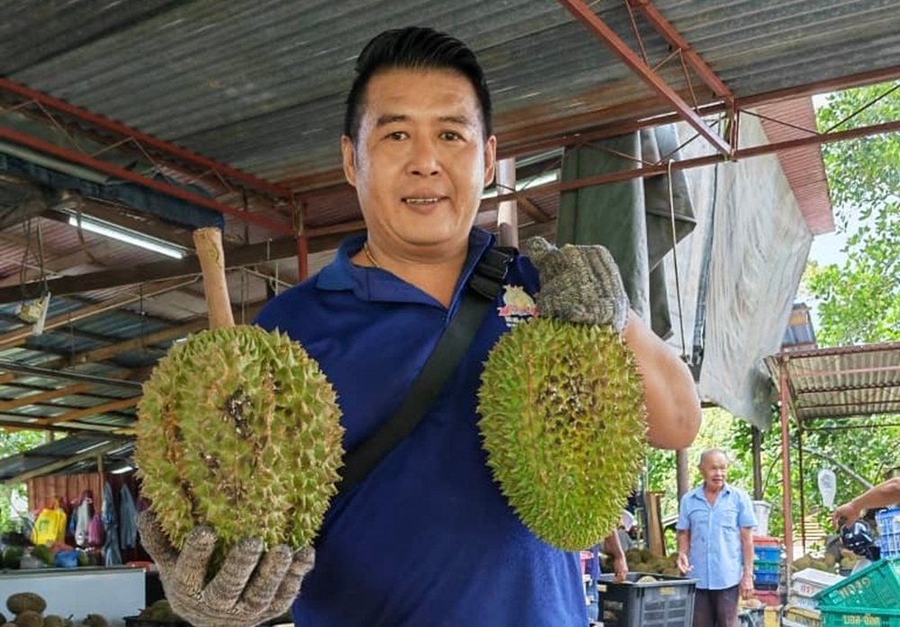 275586 Eric Yeap displays the Tupai King durians. — Pictures courtesy of Penang Agricultural Department and Eric Yeap