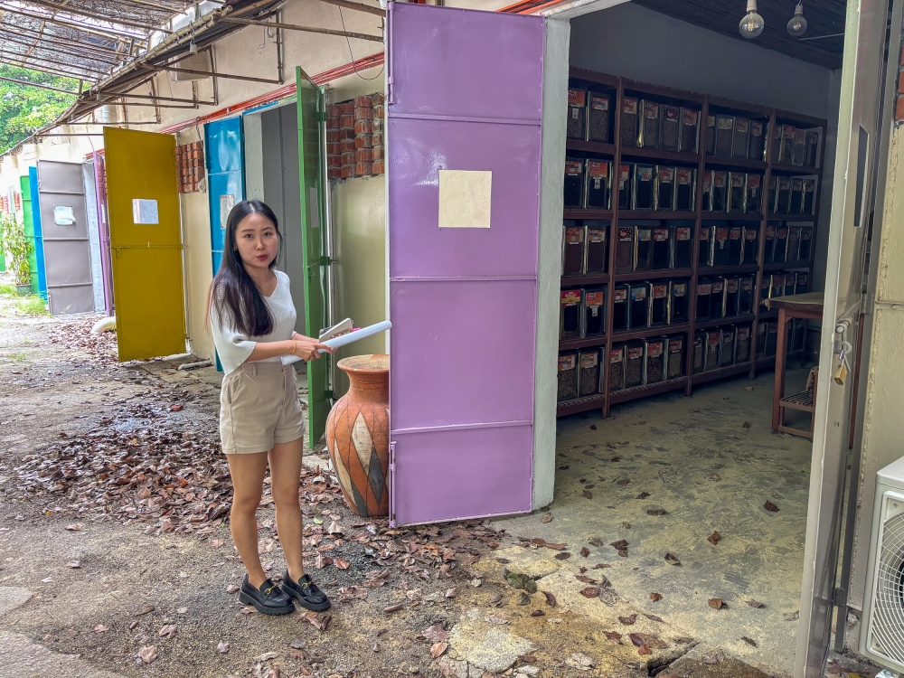 275710 Ipoh Stable Market's Janice Wong shows stables that have been converted into retail units at the Perak Turf Club in Ipoh, Perak, on May 7 2025. — Picture by John Bunyan.