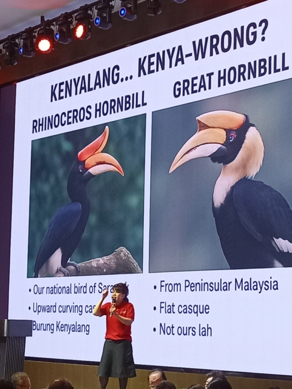 Yong urged the bank to recall the card and replace it with the correct image of the Rhinoceros Hornbill, while also issuing a formal apology to the people of Sarawak. — The Borneo Post pic